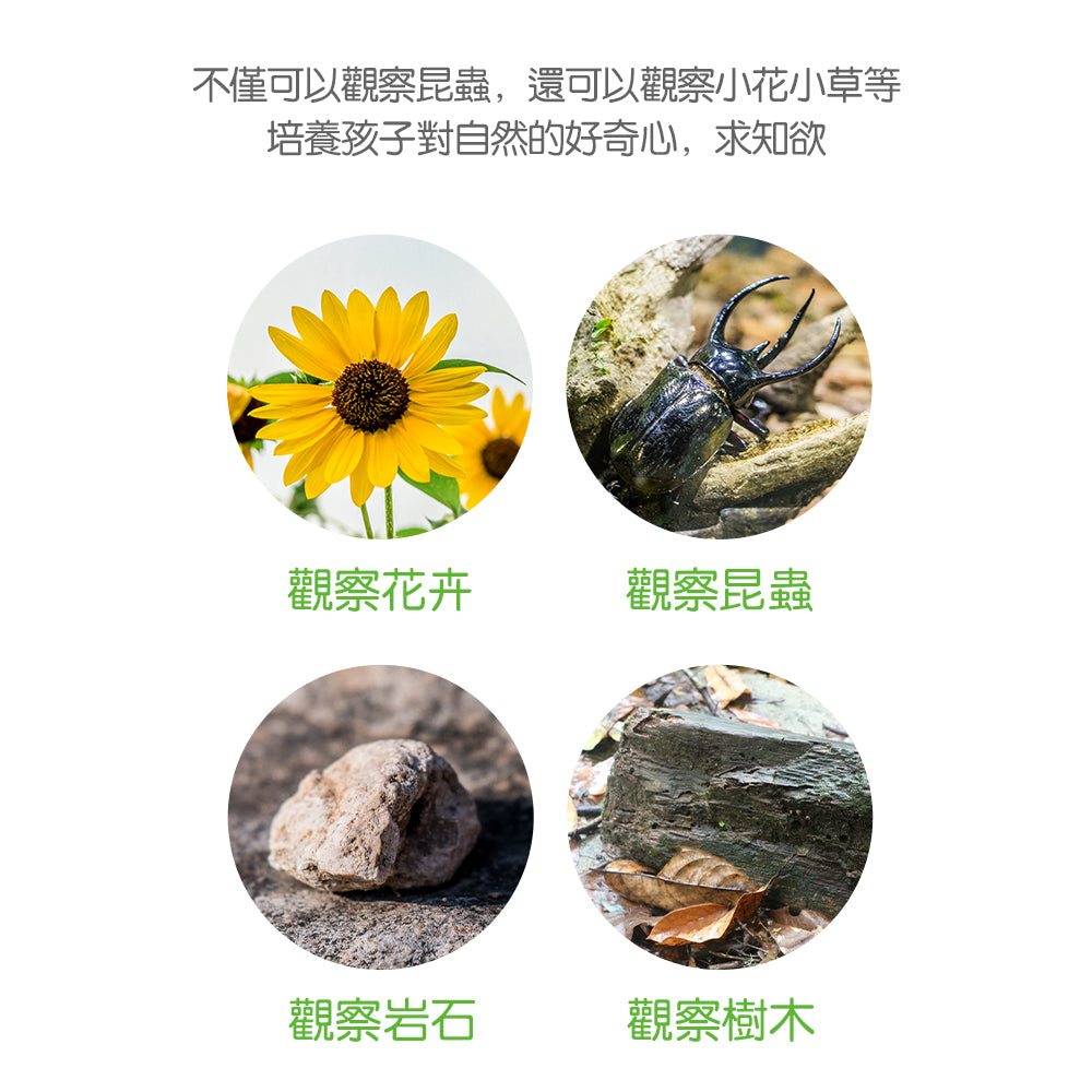 Nature Explorer - Big View Magnifier Set | 科學小工具|STEM早教科學教具